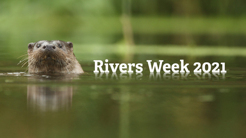 Rivers Week 2021