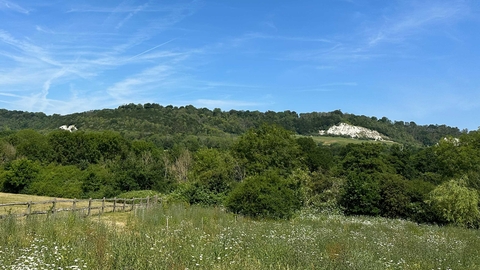 View of Betchworth Quarry