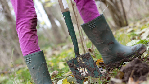 Person digging in a woodland