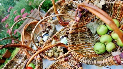 foraging basket