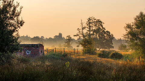 Thundry meadows