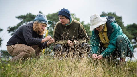 People surveying plants