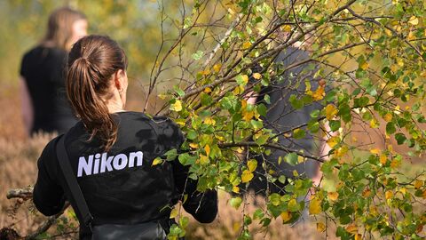 Nikon employee volunteering on reserve