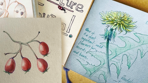 Sketchbook and Nature Journaling