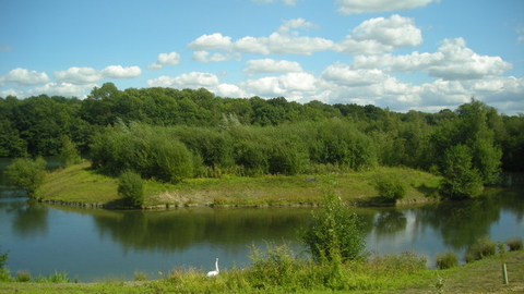Lakes, woodland, fields