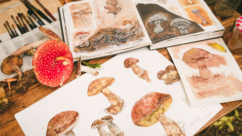 Majestic Mushroom Art
