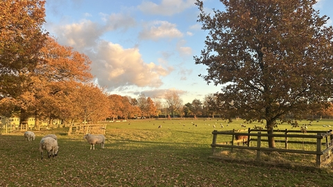 Merrist Wood
