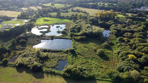 Unstead wetland nature reserve