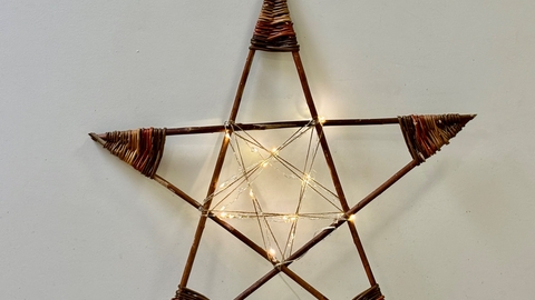 Willow Star