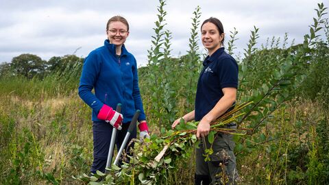 Volunteers removing willow from a grassland site
