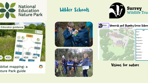 Children leaning outdoors.