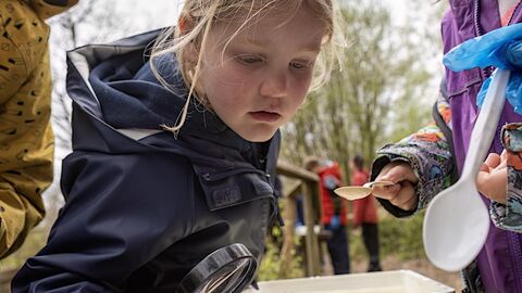 Child exploring nature