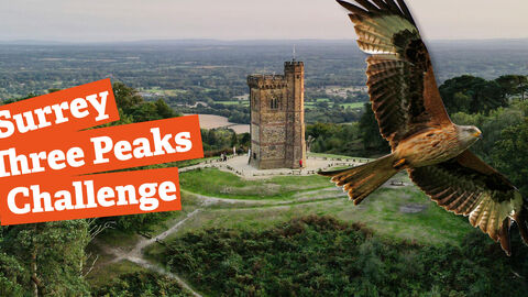 an aerial shot of Leith Hill Tower in the Surrey Hills