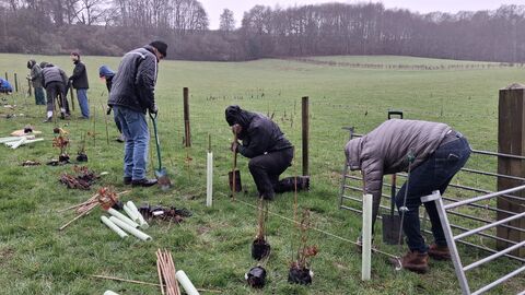 Volunteers hedge planting at Gate Street Farm