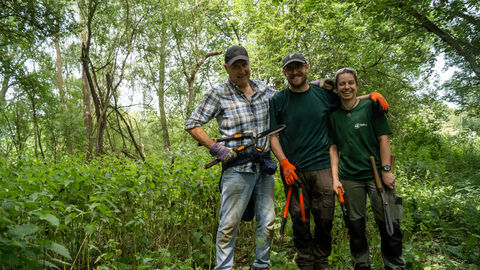 Volunteers invasive plant clearance