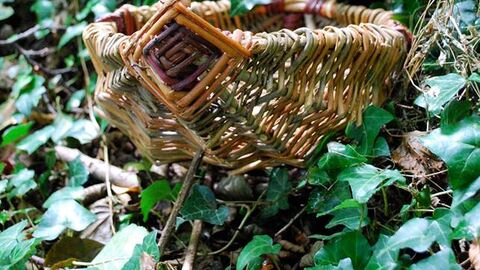 foraging basket