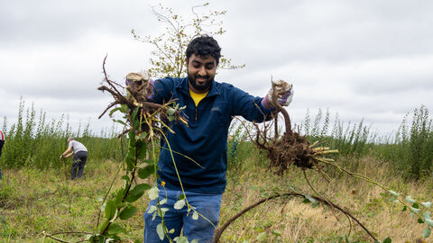 Volunteers at Horsley Meadows