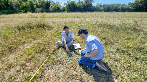 People carrying out a plant survey with a quadrat