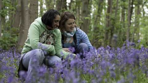 Bluebells - two young women looking at flowers