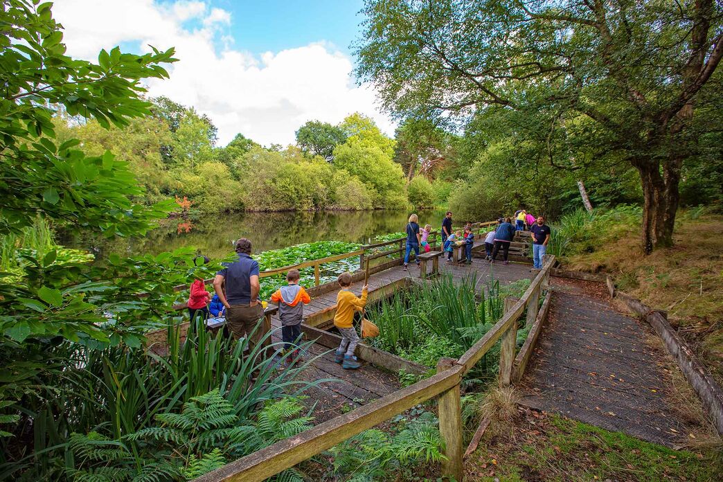 Nature Discovery Day – School Visits | Surrey Wildlife Trust