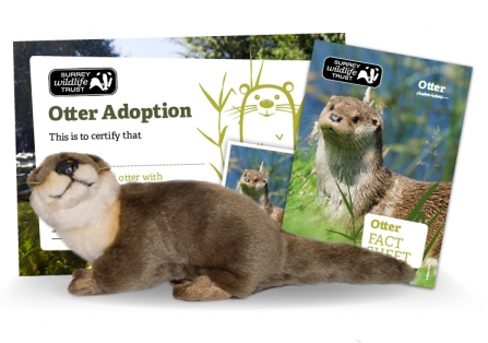 SWT Otter Adoption