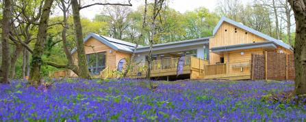 Nower Wood Education Centre in spring