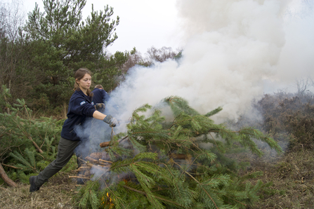 Volunteerconservation trainee burning pine