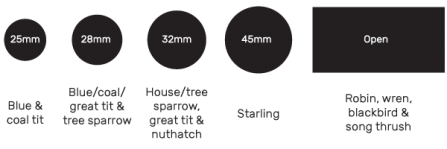 Nest box size guide