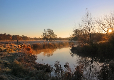 Thundry Meadows