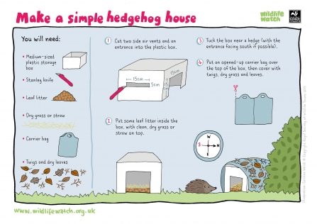 Hedgehog home activity sheet