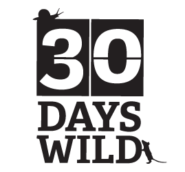 30 Days Wild Logo