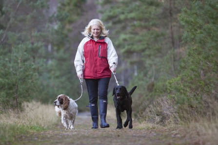 Walking with dogs