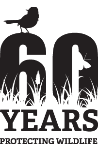 Wild at 60 logo