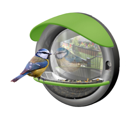 Window bird feeder
