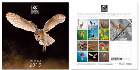 2019 calendar
