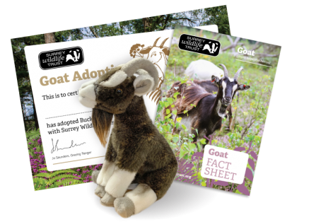 Goat adoption pack
