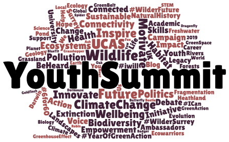 Youth summit word cloud