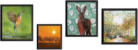 Wild Surrey Competition Examples