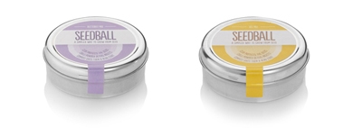 wild flower seed balls