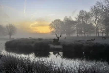 Morning Has Broken