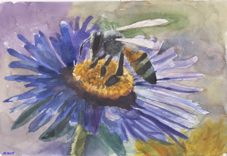 The Incredible Insect