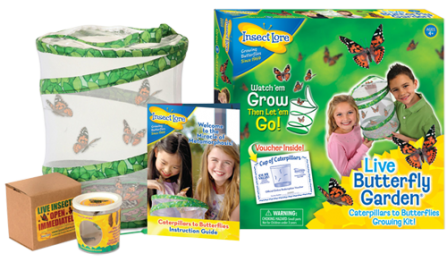 Insect Lore Butterfly garden