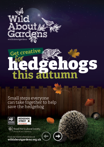 Hedgehog Guide