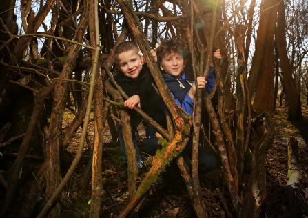 Den building