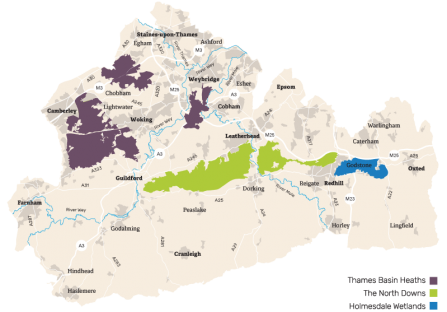 Surrey BOA map