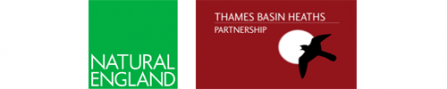 TBHP logo
