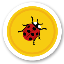 Minibeast hunt badge