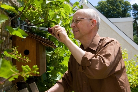 Bird box installation 