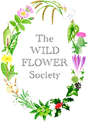 Wild Flower Society logo