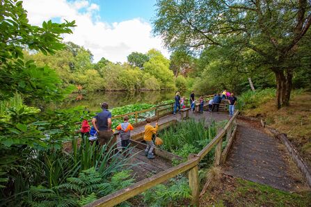 Pond dipping at Nower Wood children